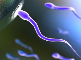 Increase testosterone Exelmale