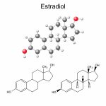 Estradiol In Men Exelmale