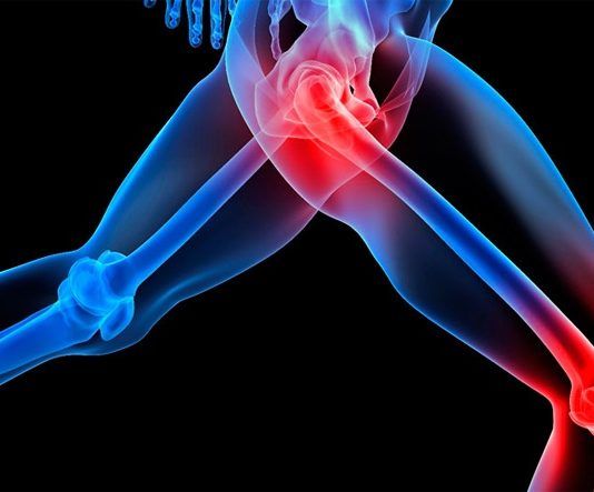 Effect of Estrogen on Tendon Excelmale