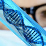Testosterone and Estradiol Blood Levels Excelmale