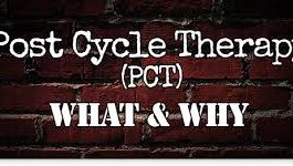 PCT post Testosterone Therapy Exelmale