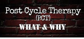 PCT post Testosterone Therapy Exelmale