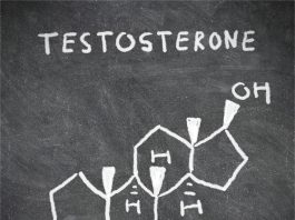 Testosterone Questions on Quora Exelmale